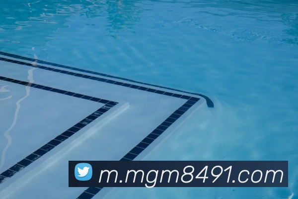 美高梅官网APP 封面图